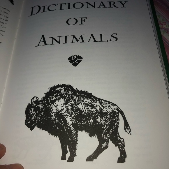 Animal Wisdom Book by Susie Green - Picture 7 of 9